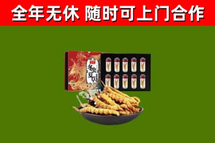 两当县回收冬虫夏草价格