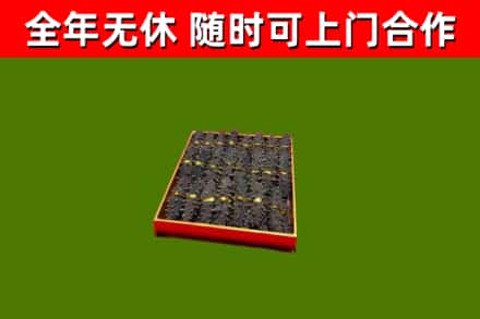 两当县回收海参